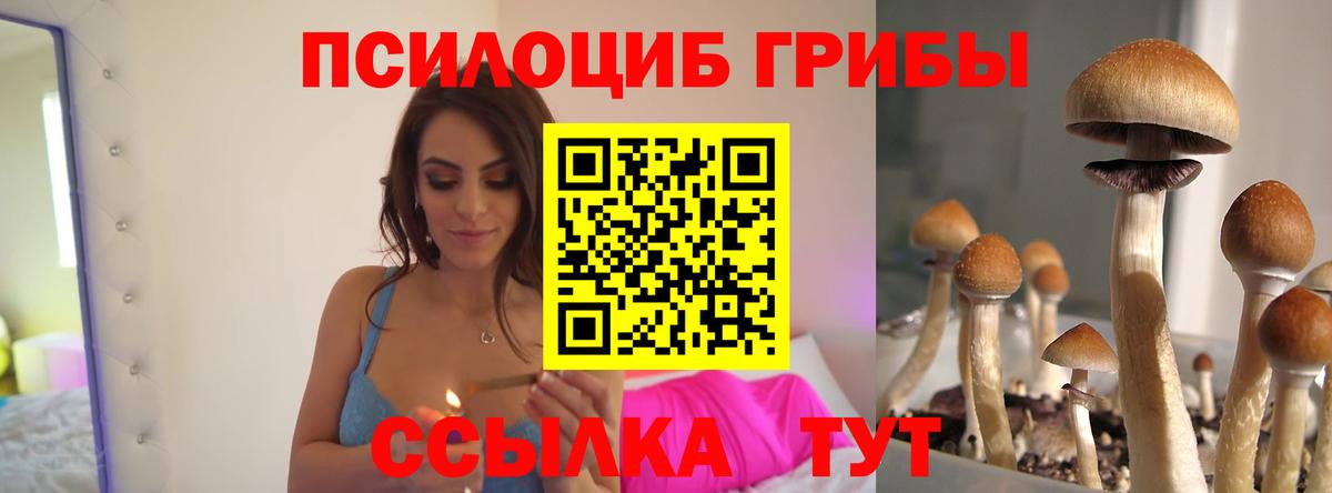 Псилоцибиновые грибы прущие грибы  Вход с VPN  Моздок  Галлюциногенные грибы Psilocybe 